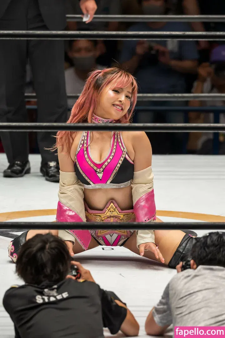 Mina Shirakawa Onlyfans Photo Gallery 