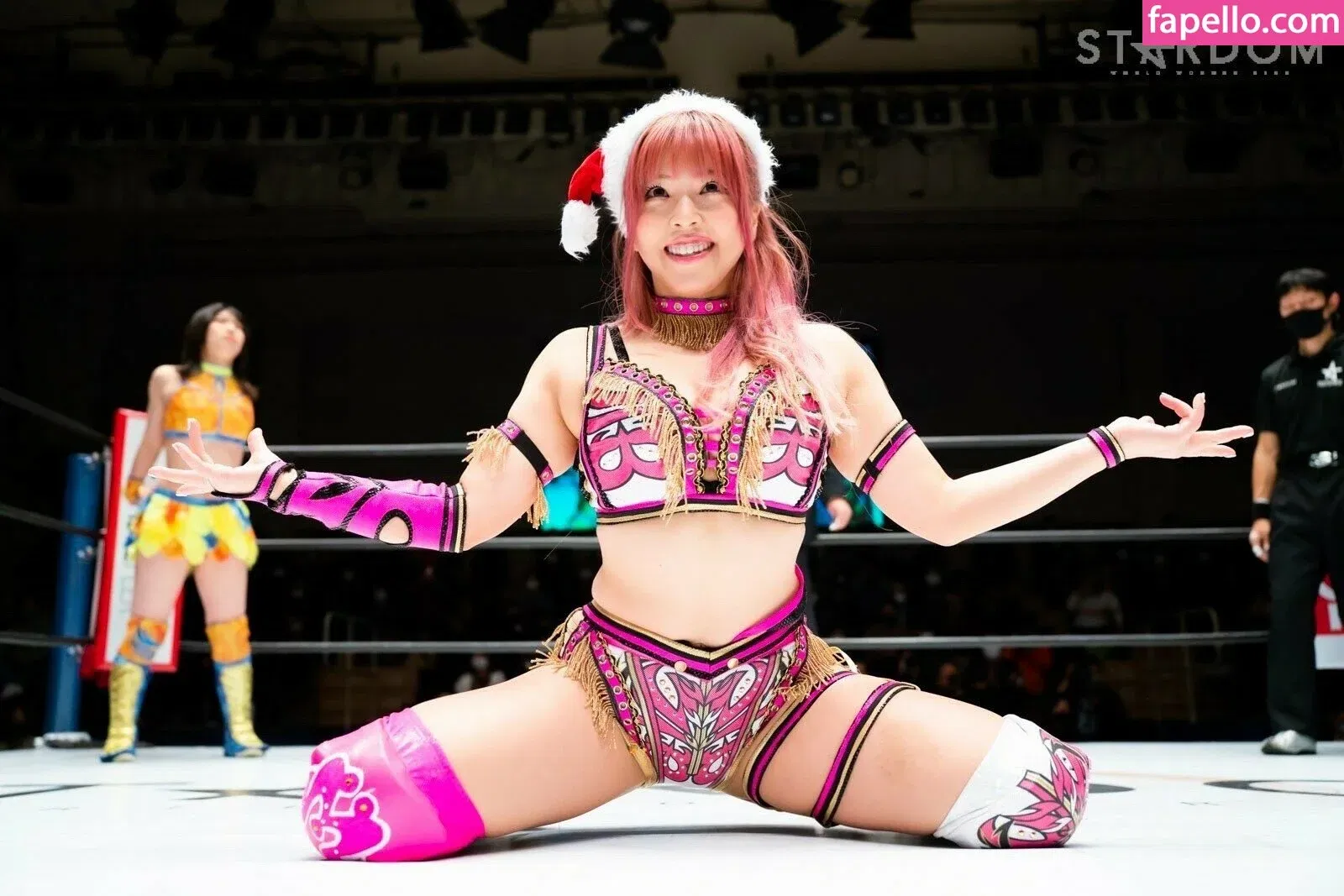 Mina Shirakawa Onlyfans Photo Gallery 