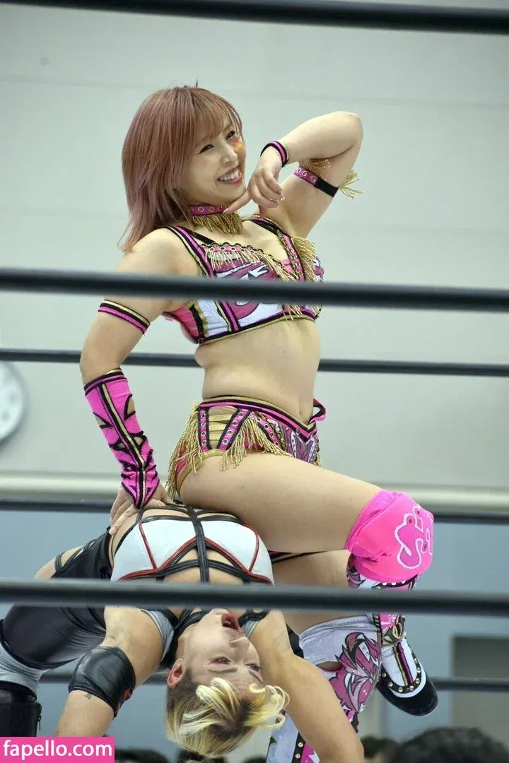 Mina Shirakawa Onlyfans Photo Gallery 