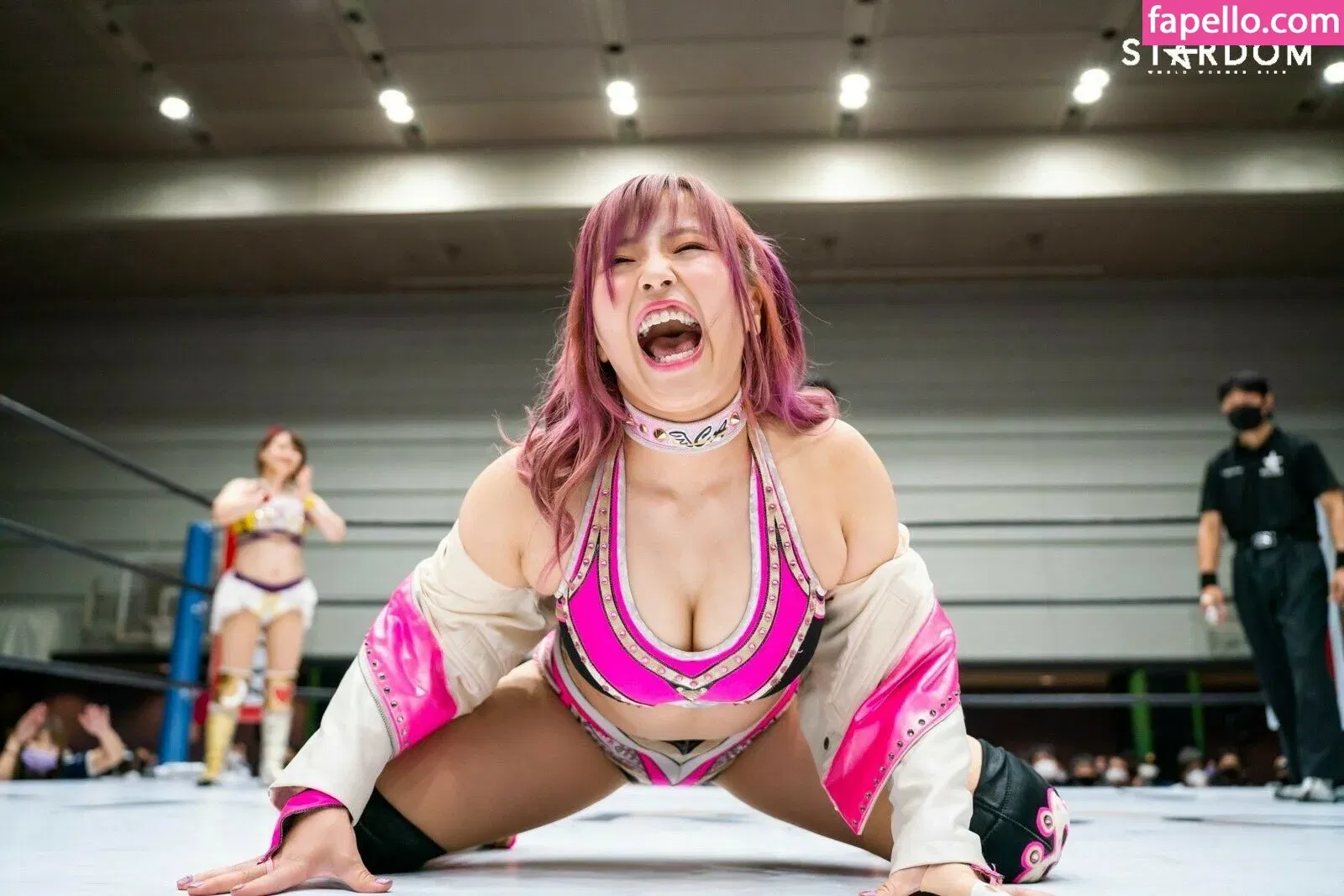 Mina Shirakawa Onlyfans Photo Gallery 