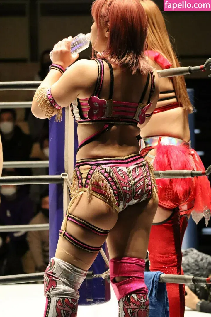 Mina Shirakawa Onlyfans Photo Gallery 