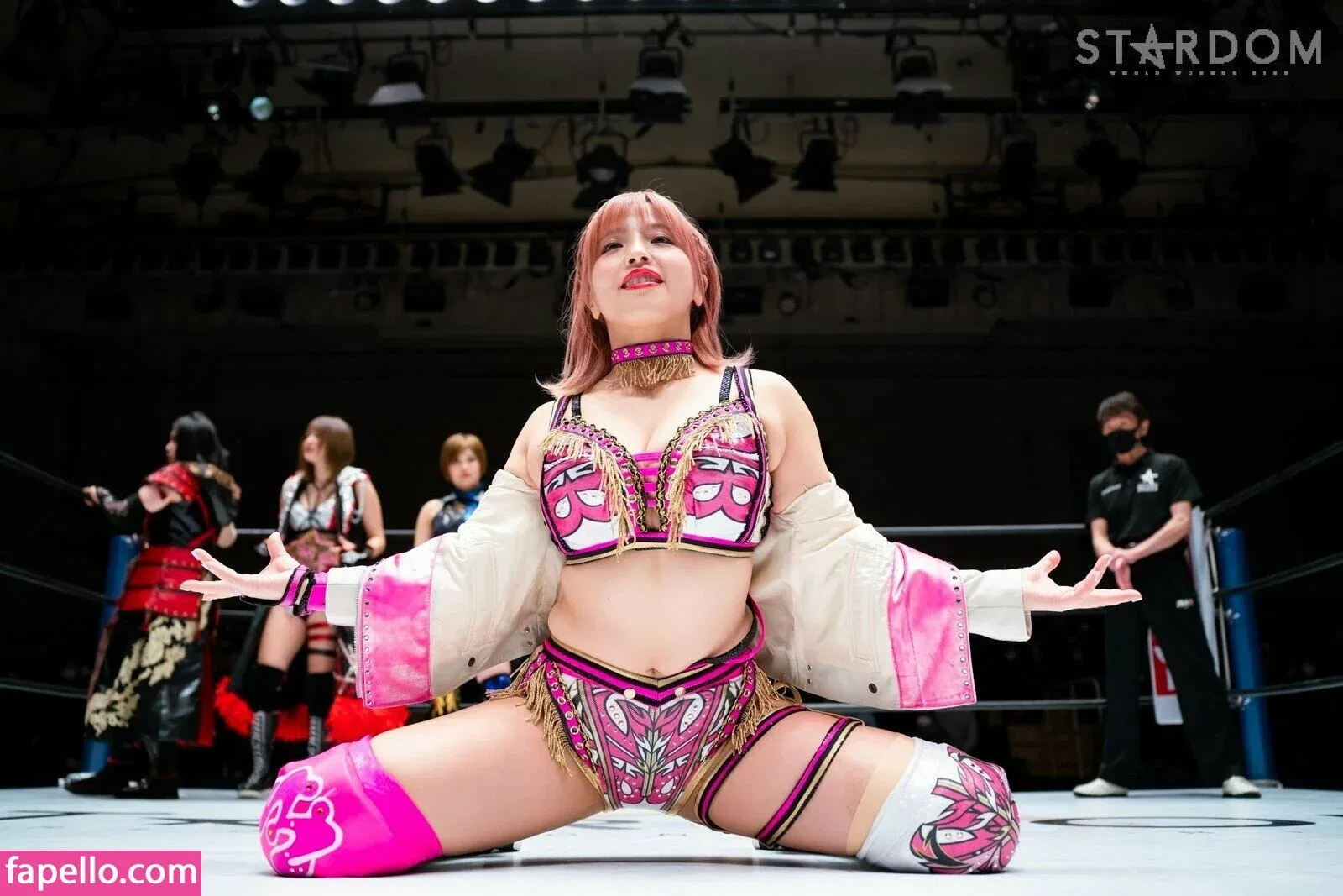 Mina Shirakawa Onlyfans Photo Gallery 