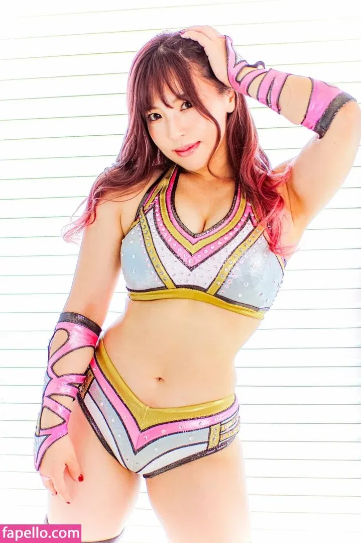 Mina Shirakawa Onlyfans Photo Gallery 