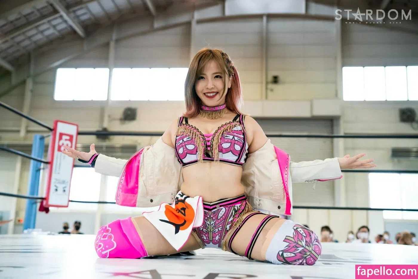 Mina Shirakawa Onlyfans Photo Gallery 