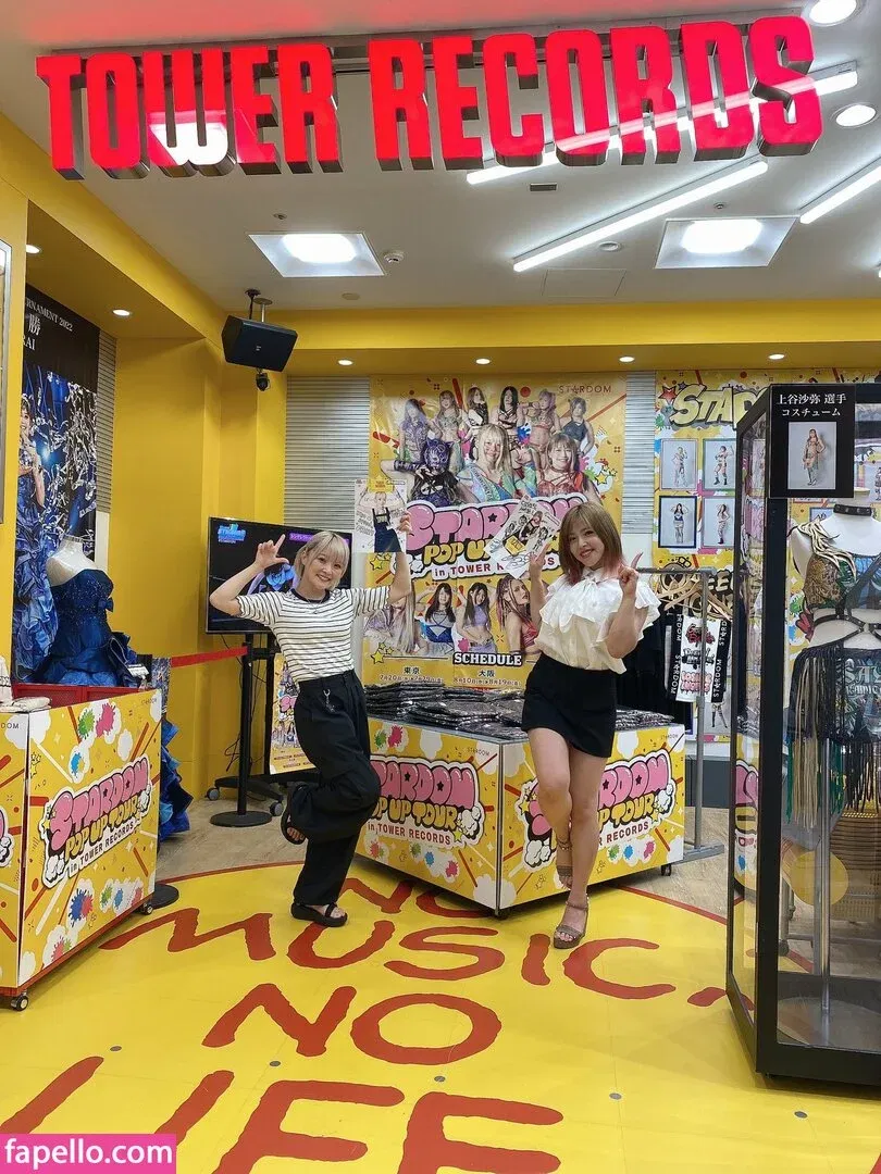 Mina Shirakawa Onlyfans Photo Gallery 