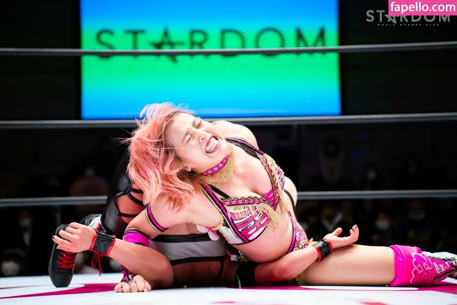 Mina Shirakawa Onlyfans Photo Gallery 