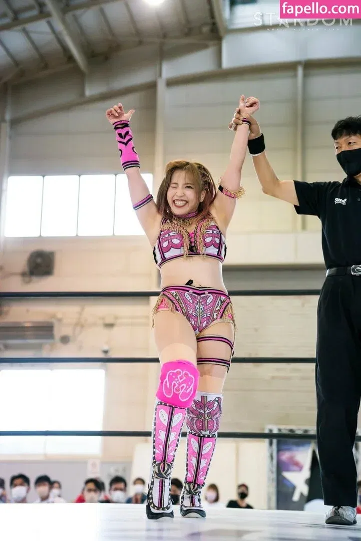 Mina Shirakawa Onlyfans Photo Gallery 