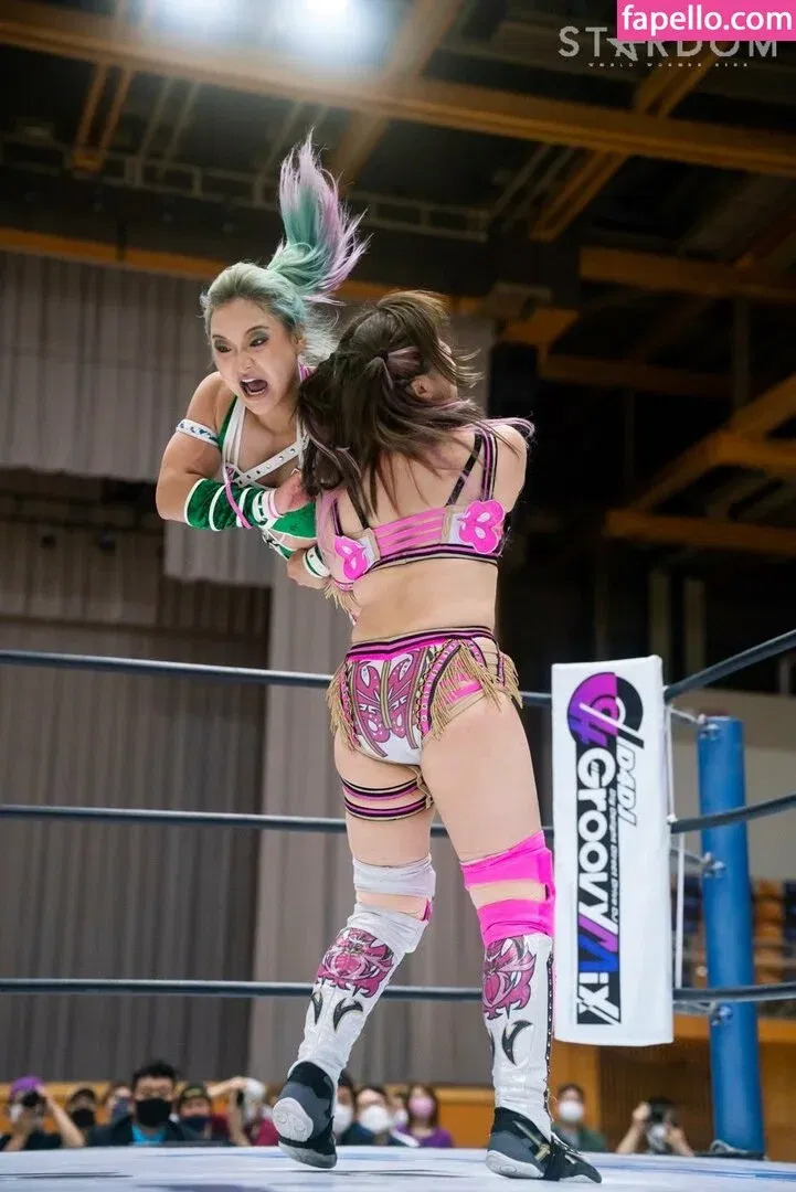 Mina Shirakawa Onlyfans Photo Gallery 