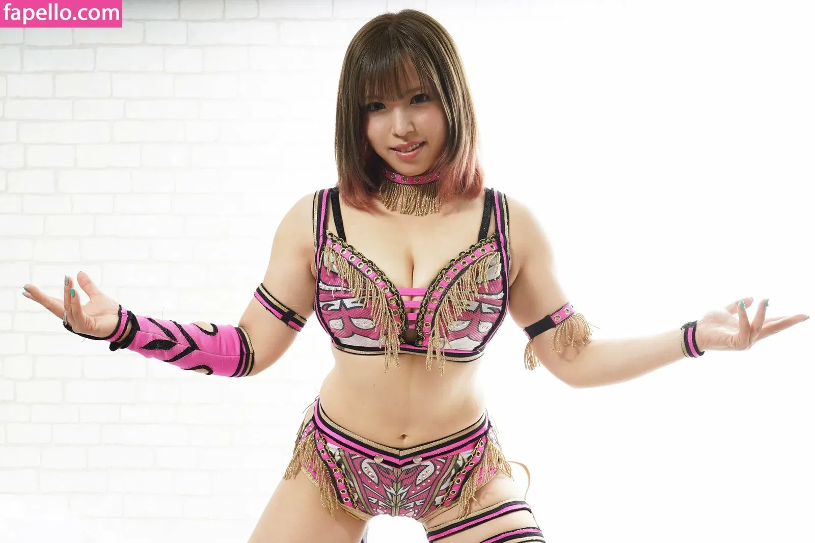 Mina Shirakawa Onlyfans Photo Gallery 