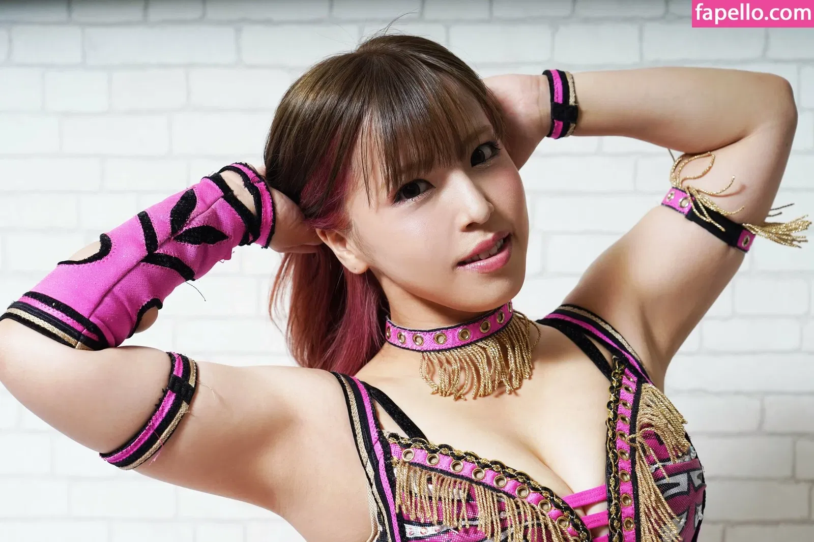 Mina Shirakawa Onlyfans Photo Gallery 