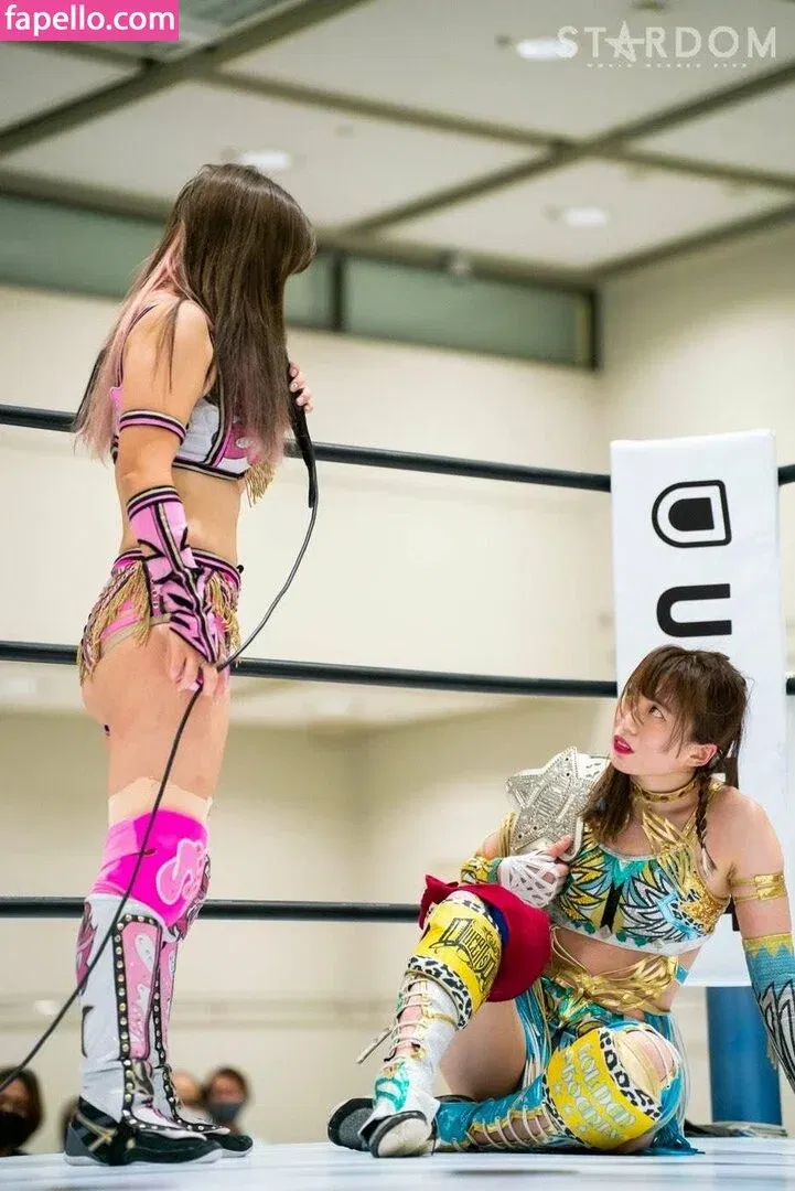 Mina Shirakawa Onlyfans Photo Gallery 