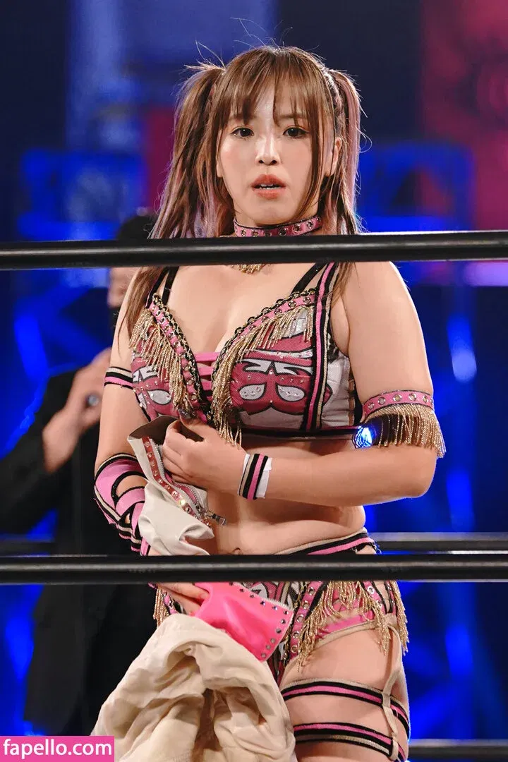 Mina Shirakawa Onlyfans Photo Gallery 