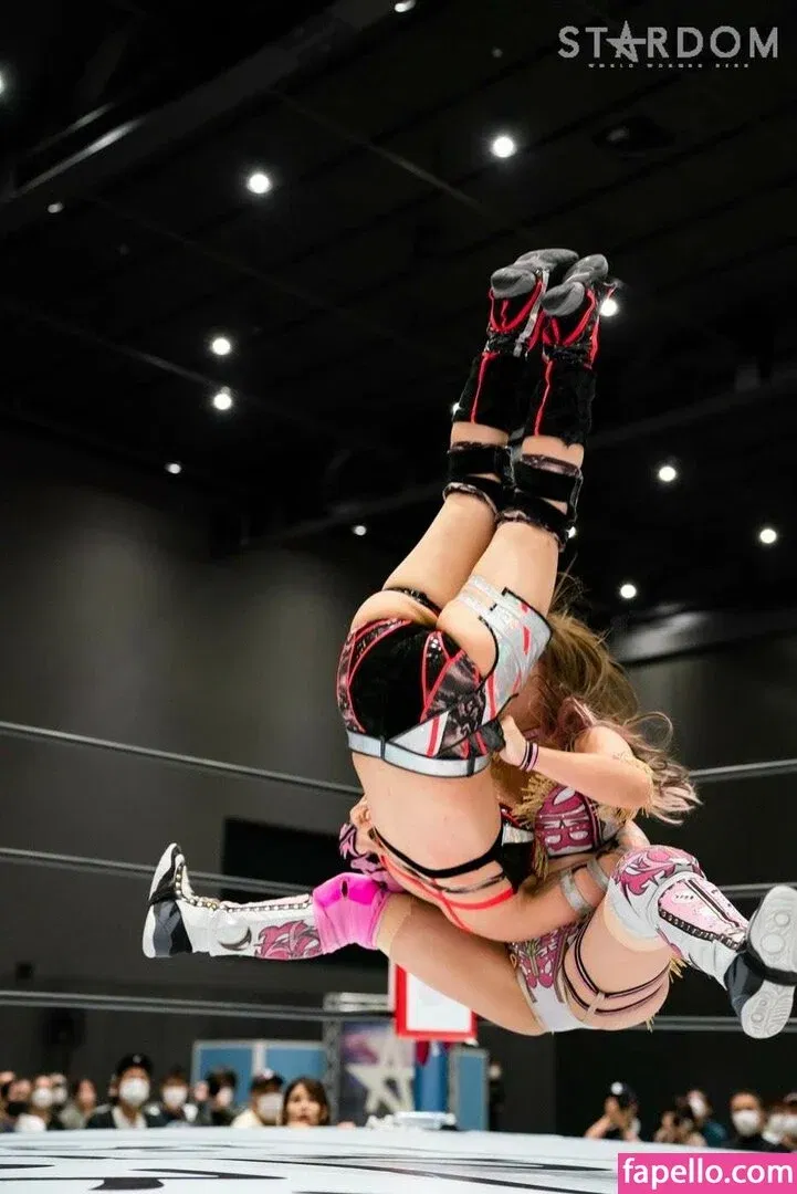 Mina Shirakawa Onlyfans Photo Gallery 