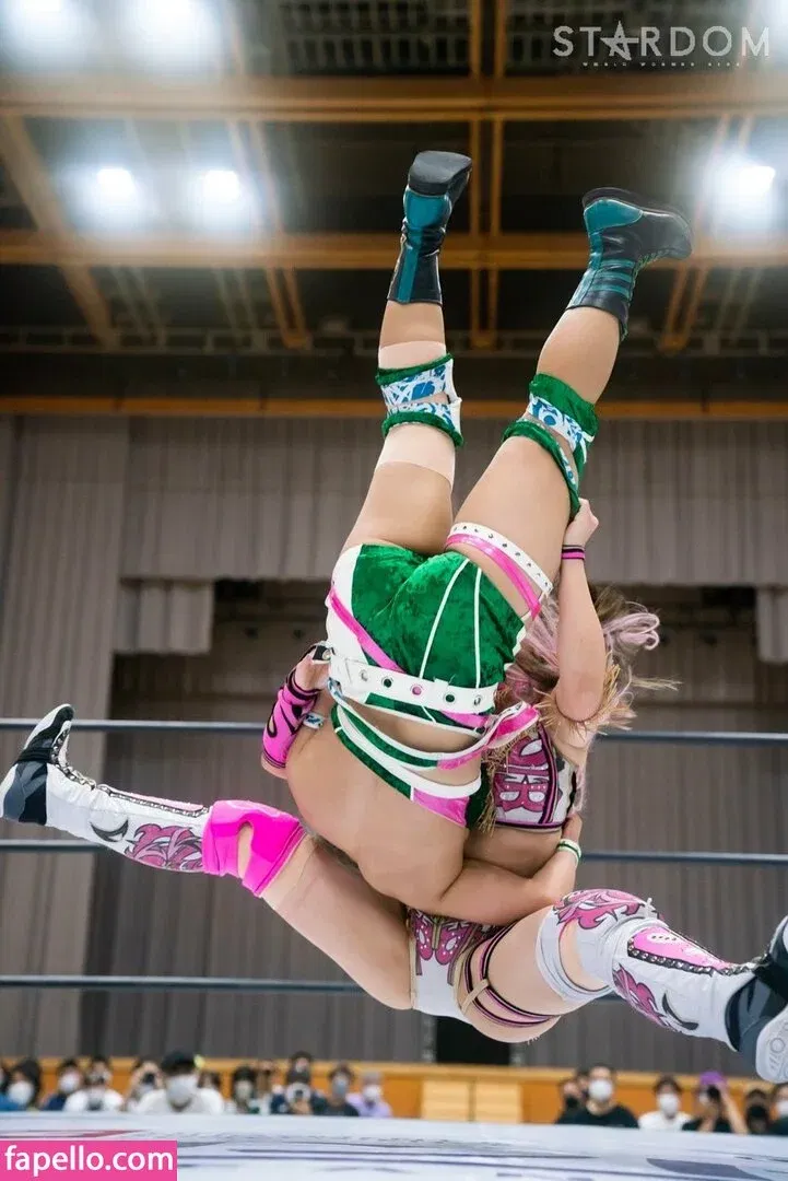 Mina Shirakawa Onlyfans Photo Gallery 