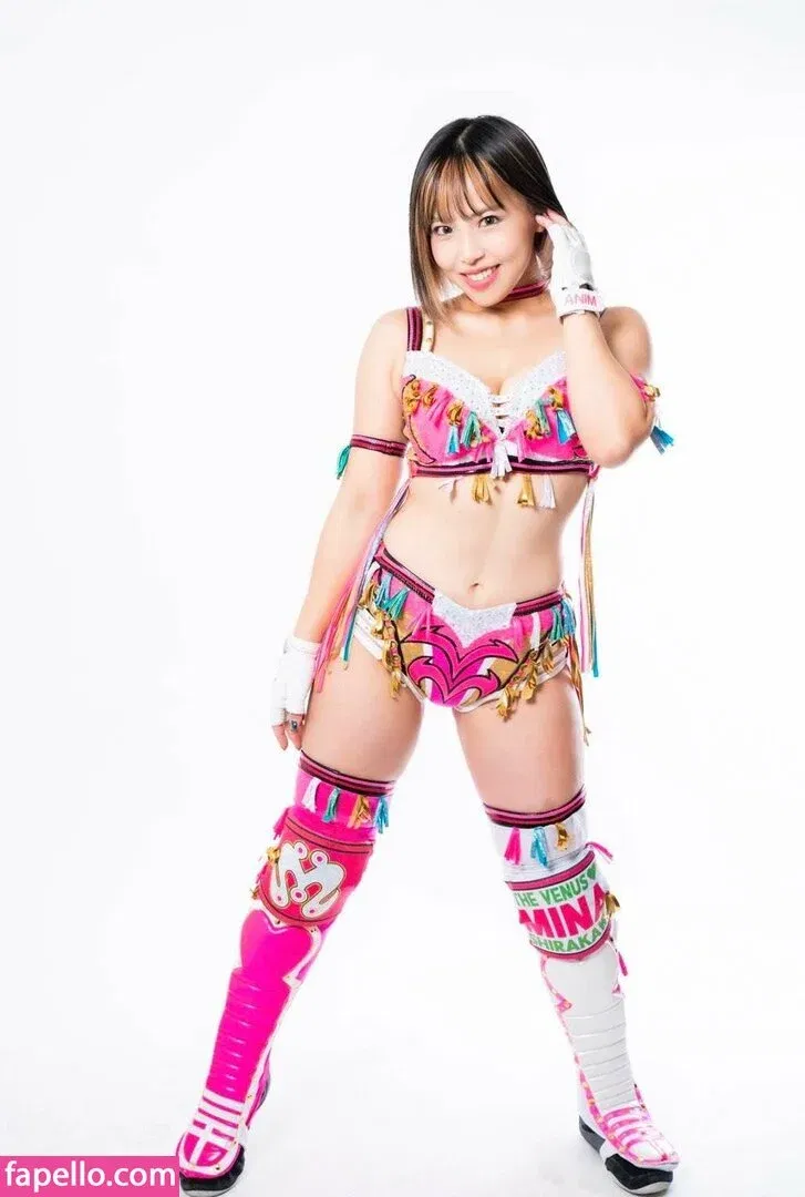 Mina Shirakawa Onlyfans Photo Gallery 