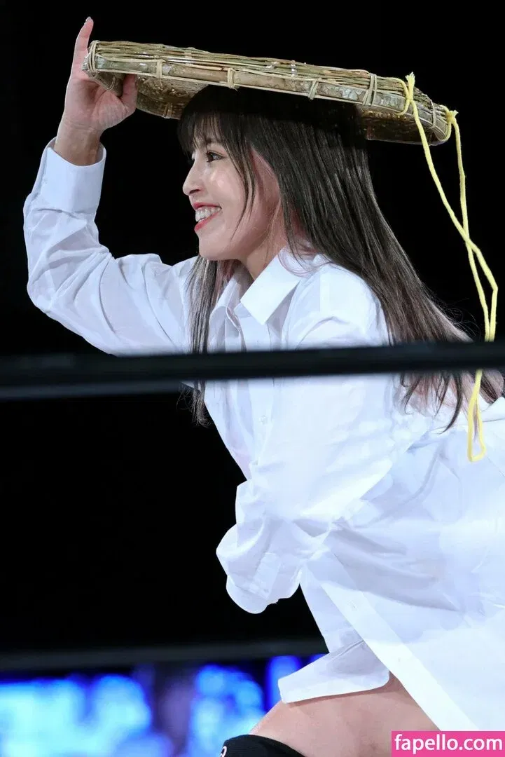 Mina Shirakawa Onlyfans Photo Gallery 