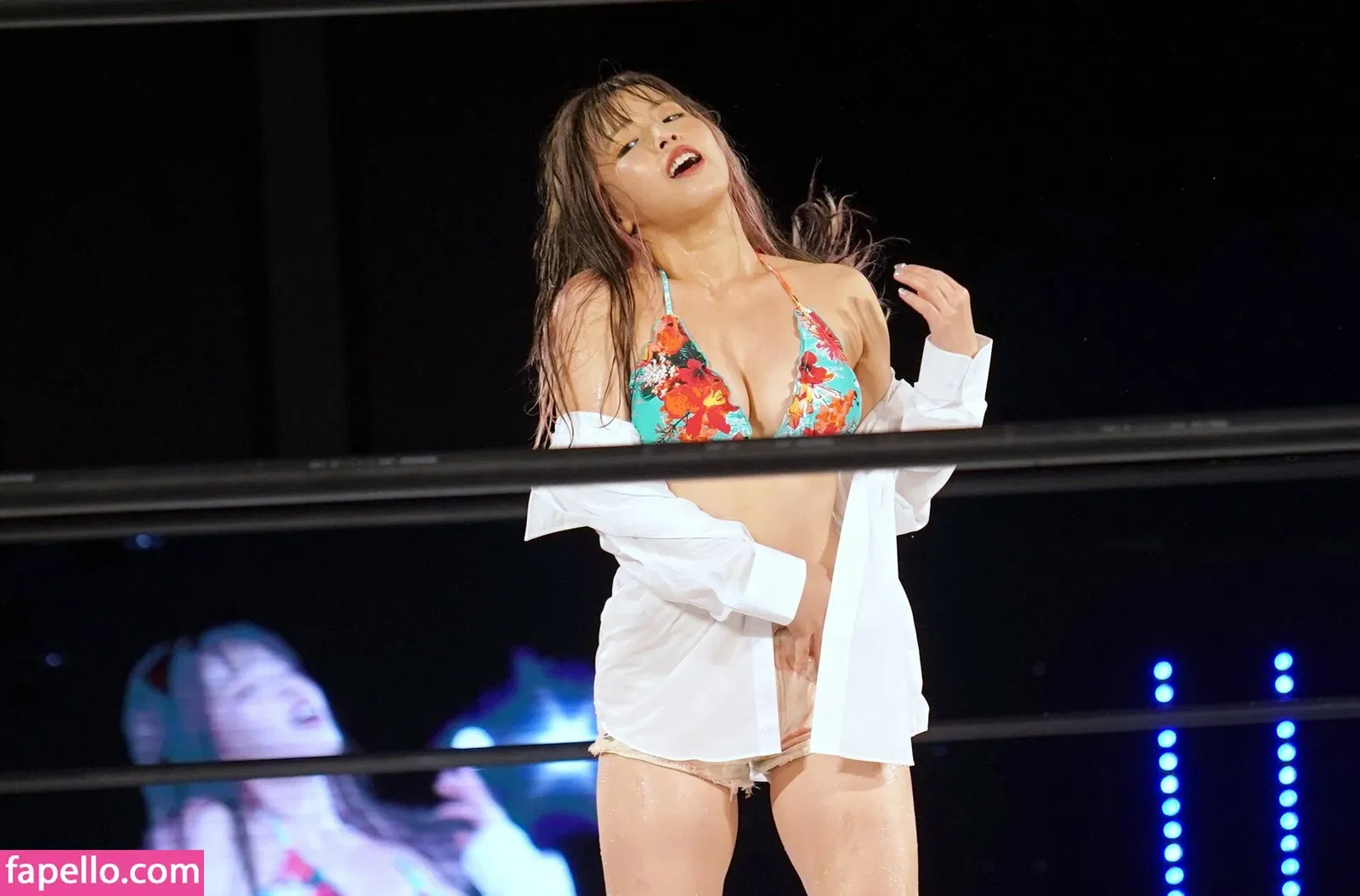 Mina Shirakawa Onlyfans Photo Gallery 