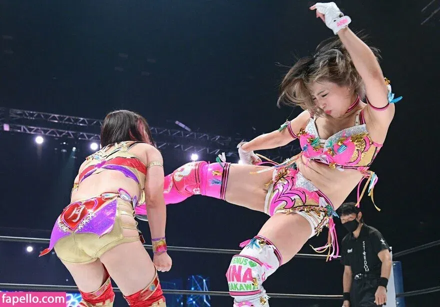 Mina Shirakawa Onlyfans Photo Gallery 