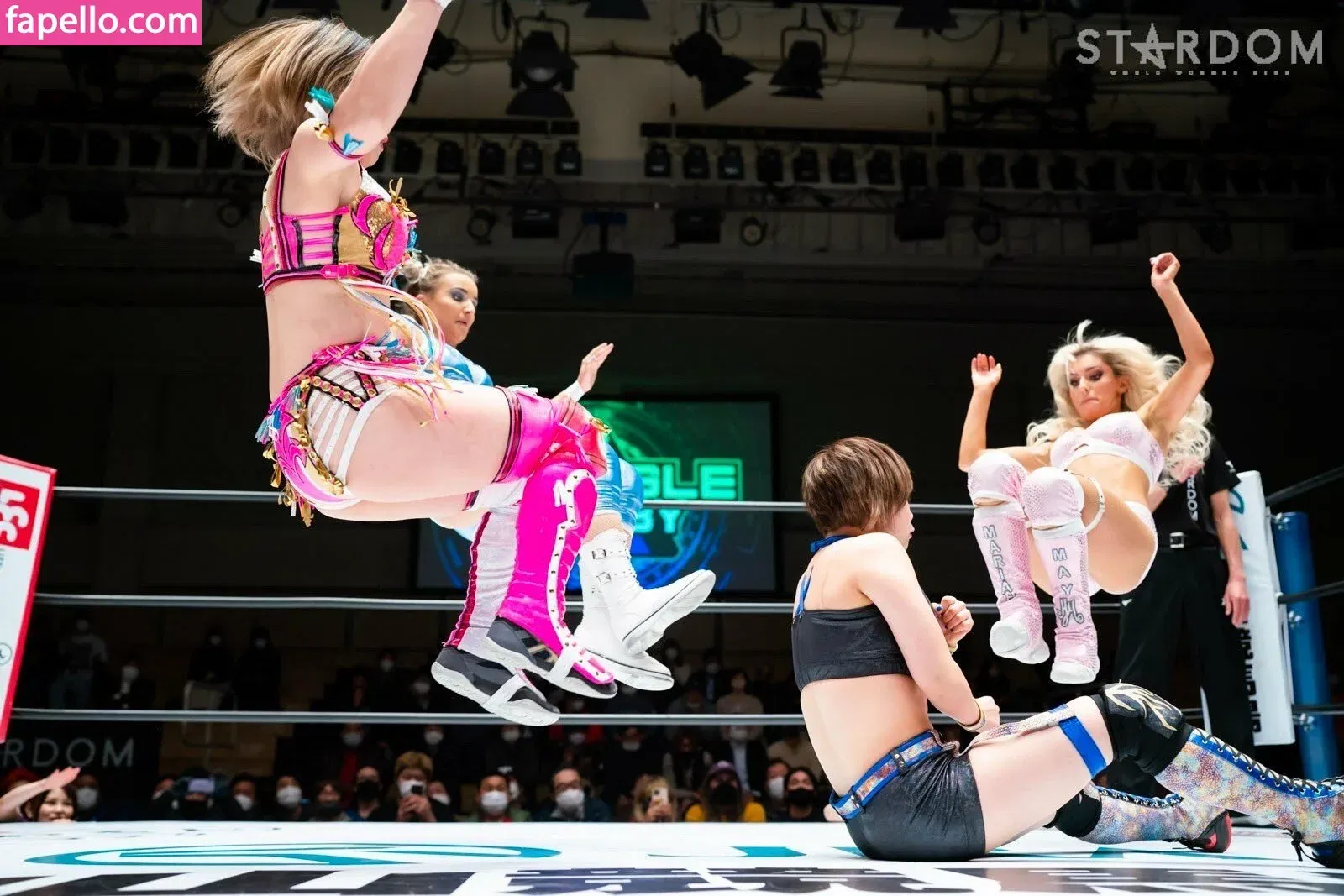 Mina Shirakawa Onlyfans Photo Gallery 