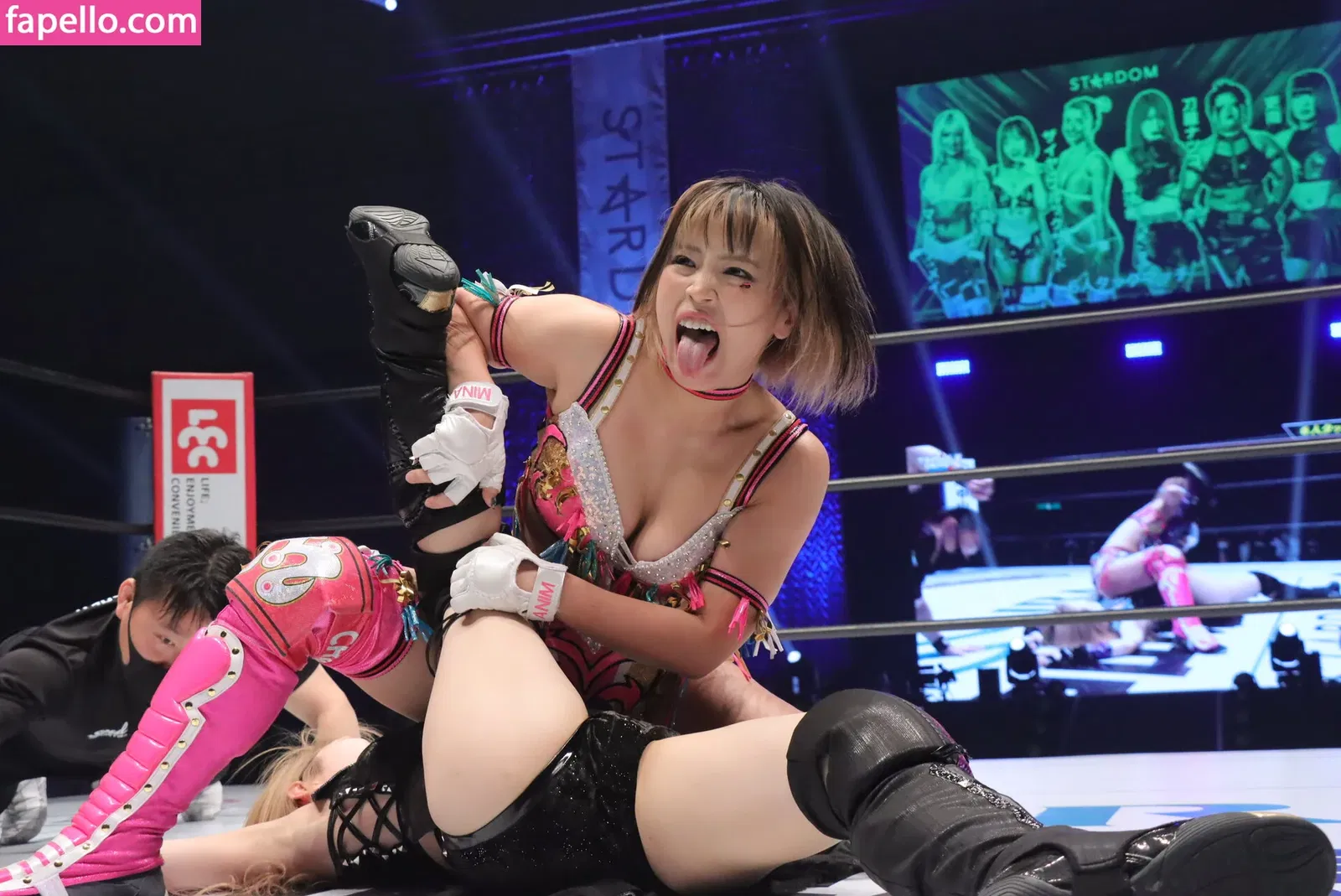 Mina Shirakawa Onlyfans Photo Gallery 