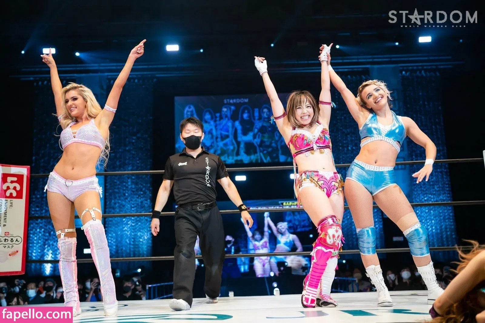 Mina Shirakawa Onlyfans Photo Gallery 