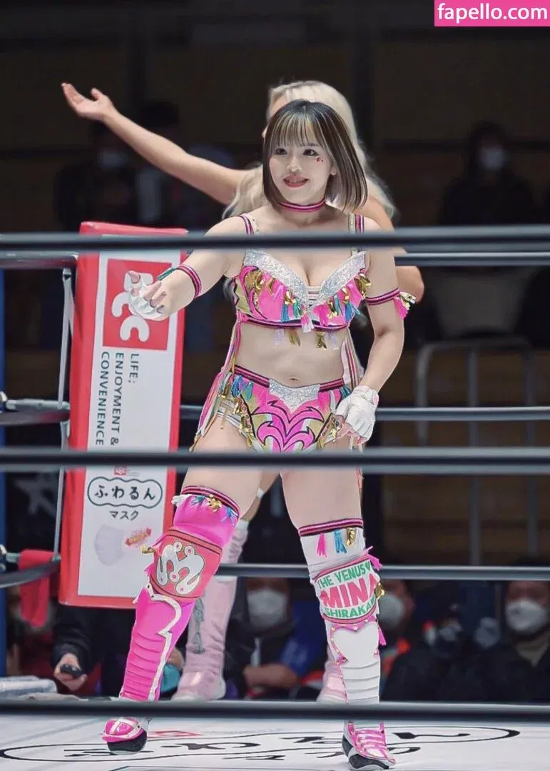 Mina Shirakawa Onlyfans Photo Gallery 