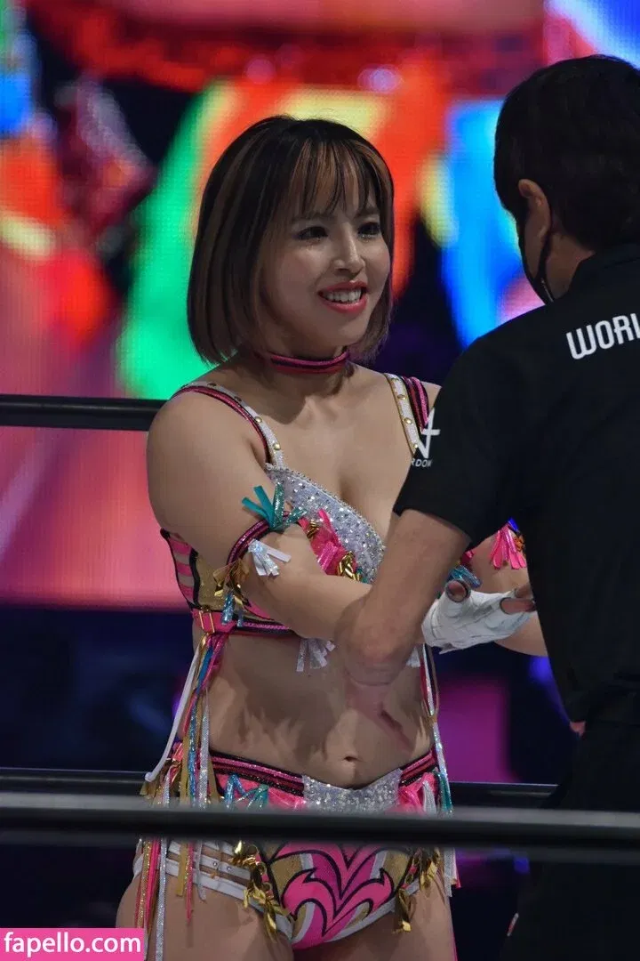 Mina Shirakawa Onlyfans Photo Gallery 