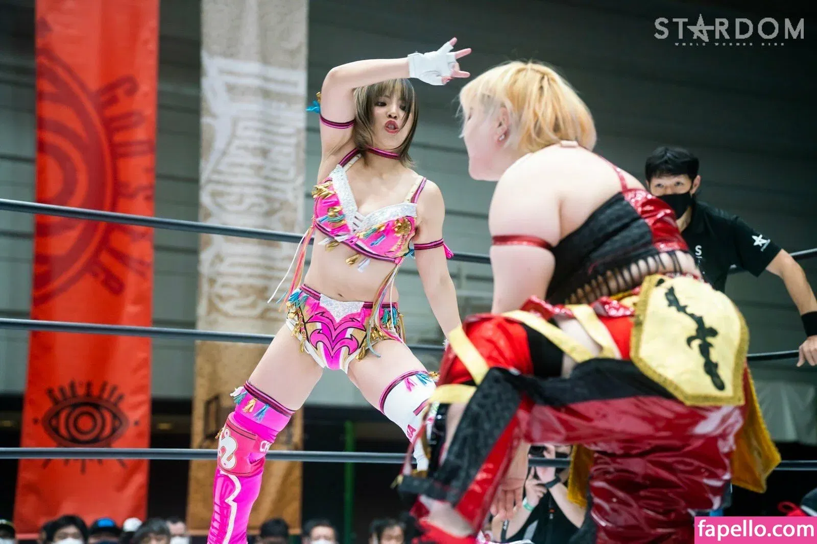 Mina Shirakawa Onlyfans Photo Gallery 