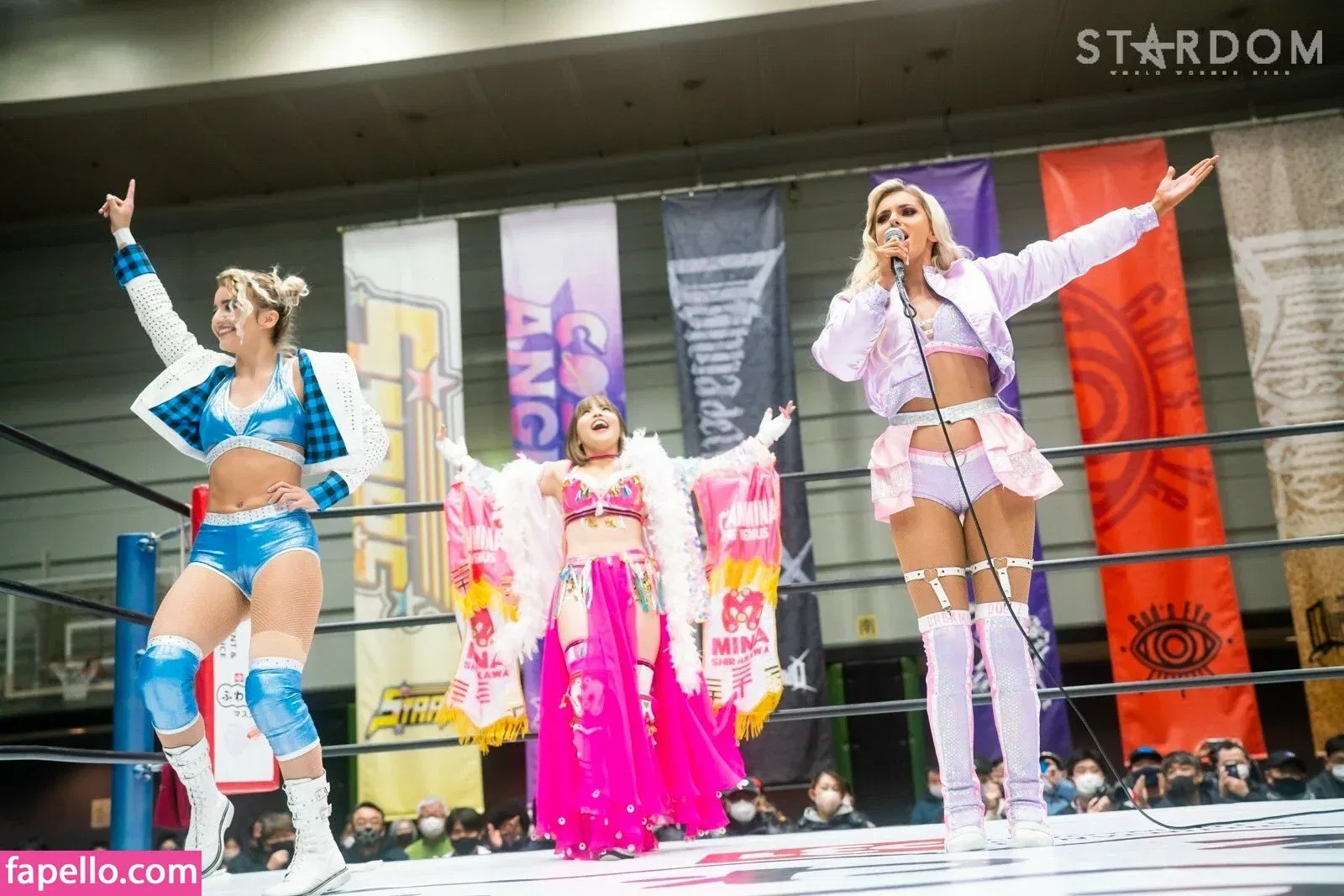 Mina Shirakawa Onlyfans Photo Gallery 