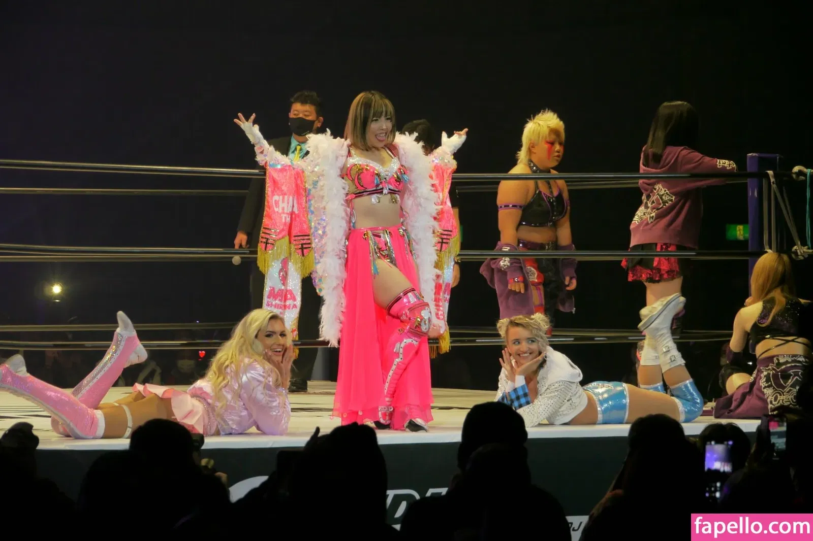 Mina Shirakawa Onlyfans Photo Gallery 