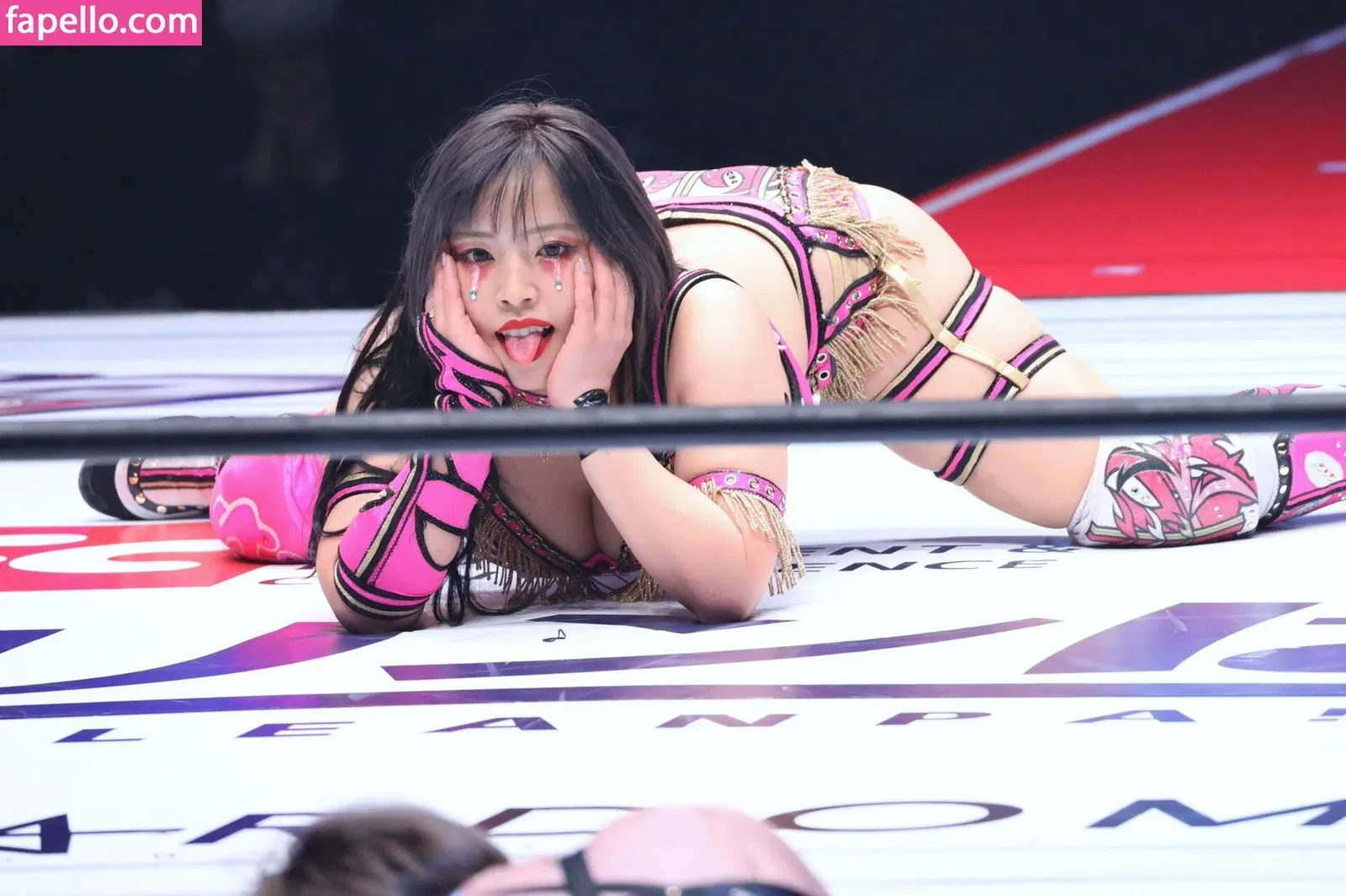 Mina Shirakawa Onlyfans Photo Gallery 