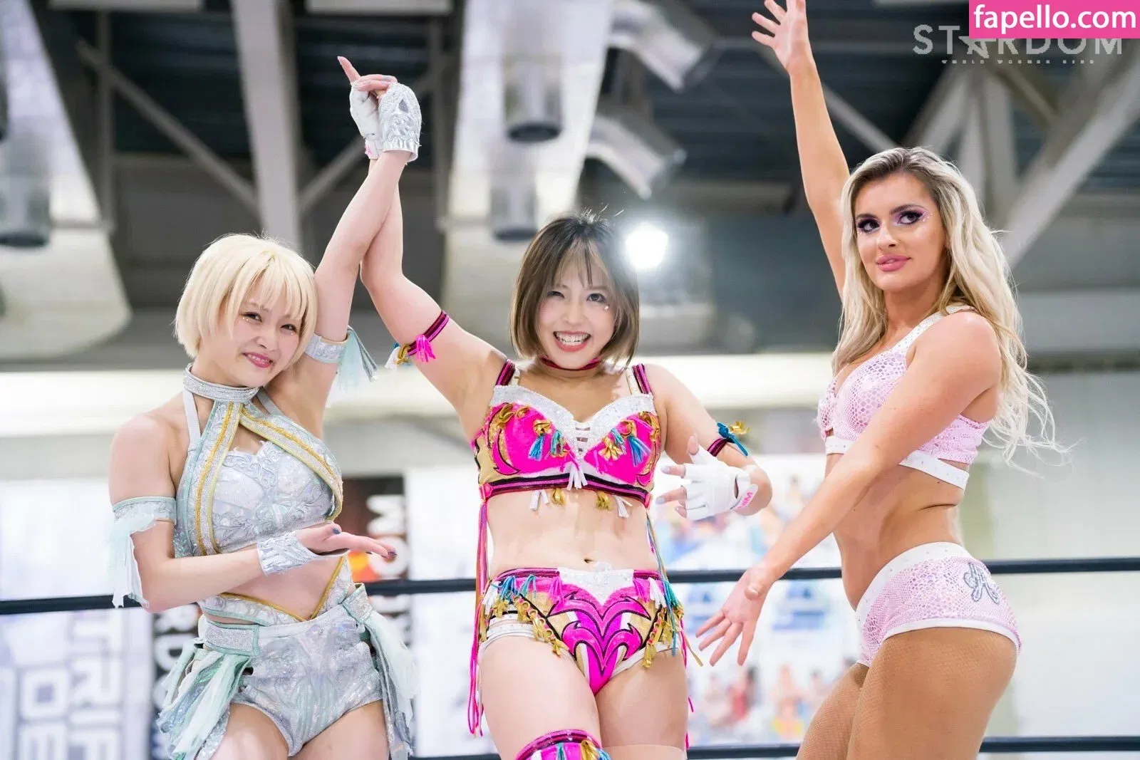 Mina Shirakawa Onlyfans Photo Gallery 