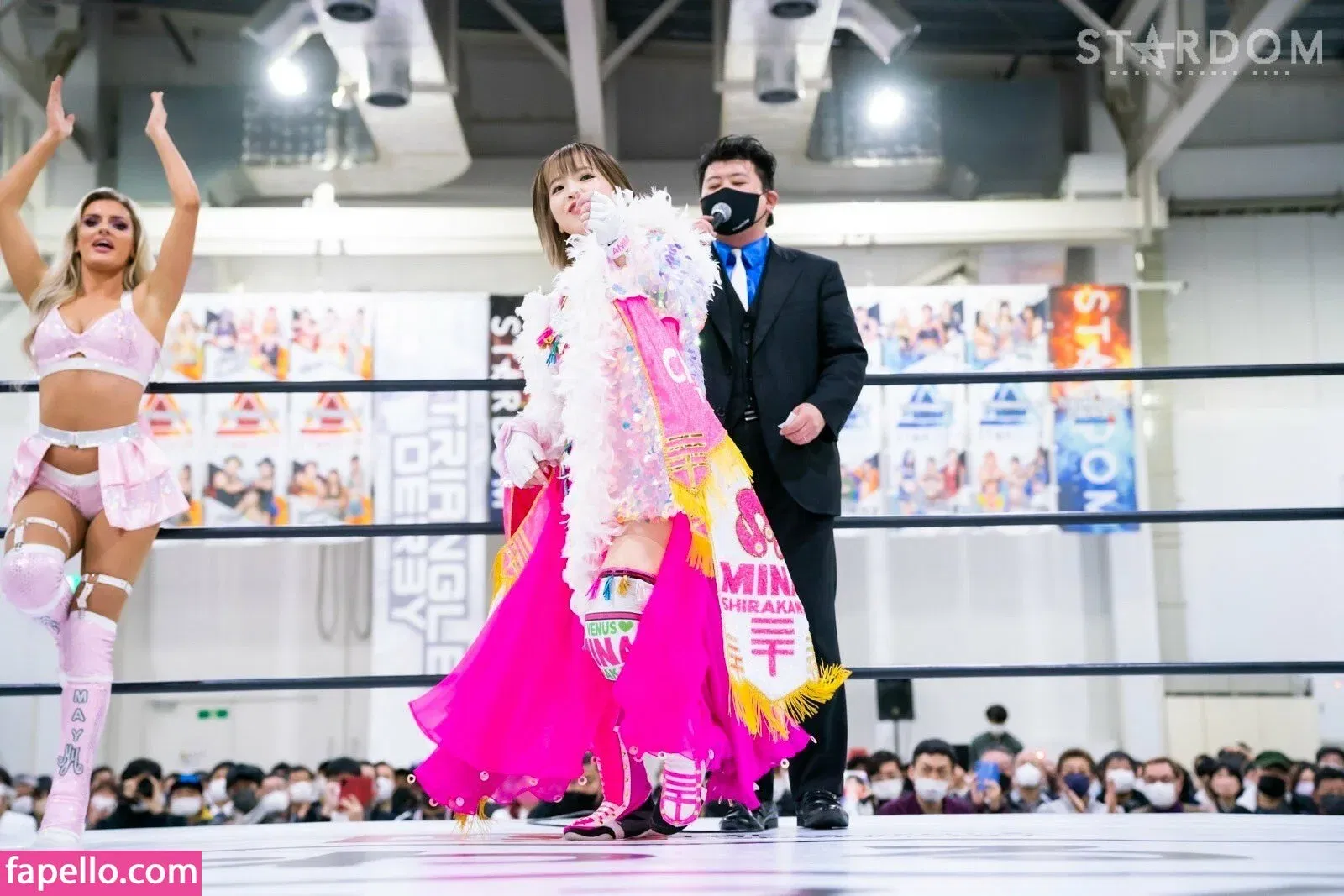 Mina Shirakawa Onlyfans Photo Gallery 