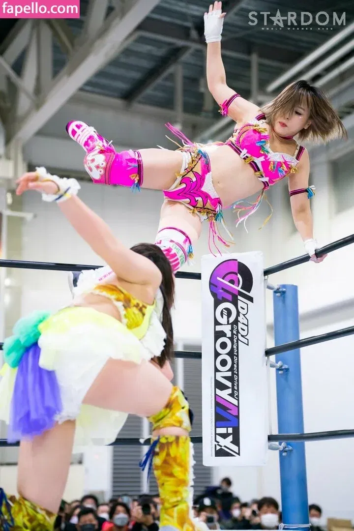 Mina Shirakawa Onlyfans Photo Gallery 