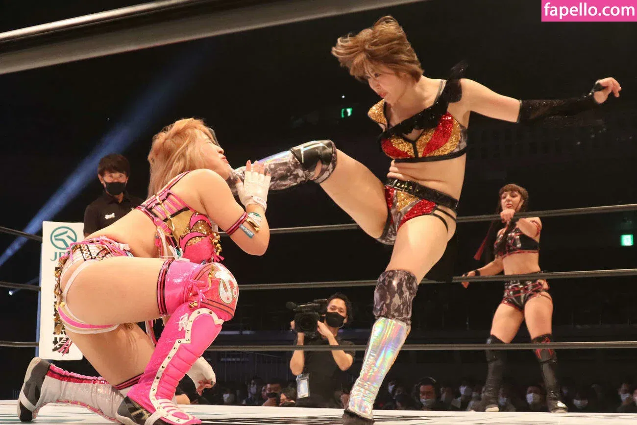 Mina Shirakawa Onlyfans Photo Gallery 