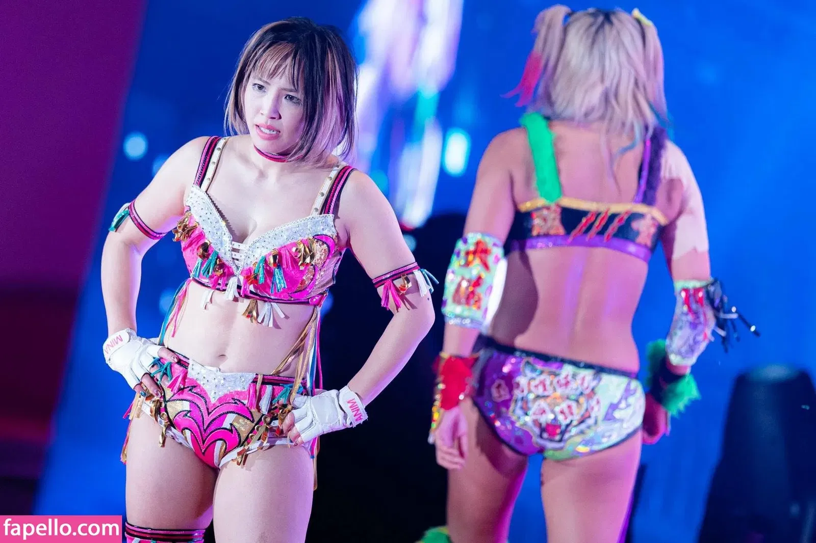 Mina Shirakawa Onlyfans Photo Gallery 