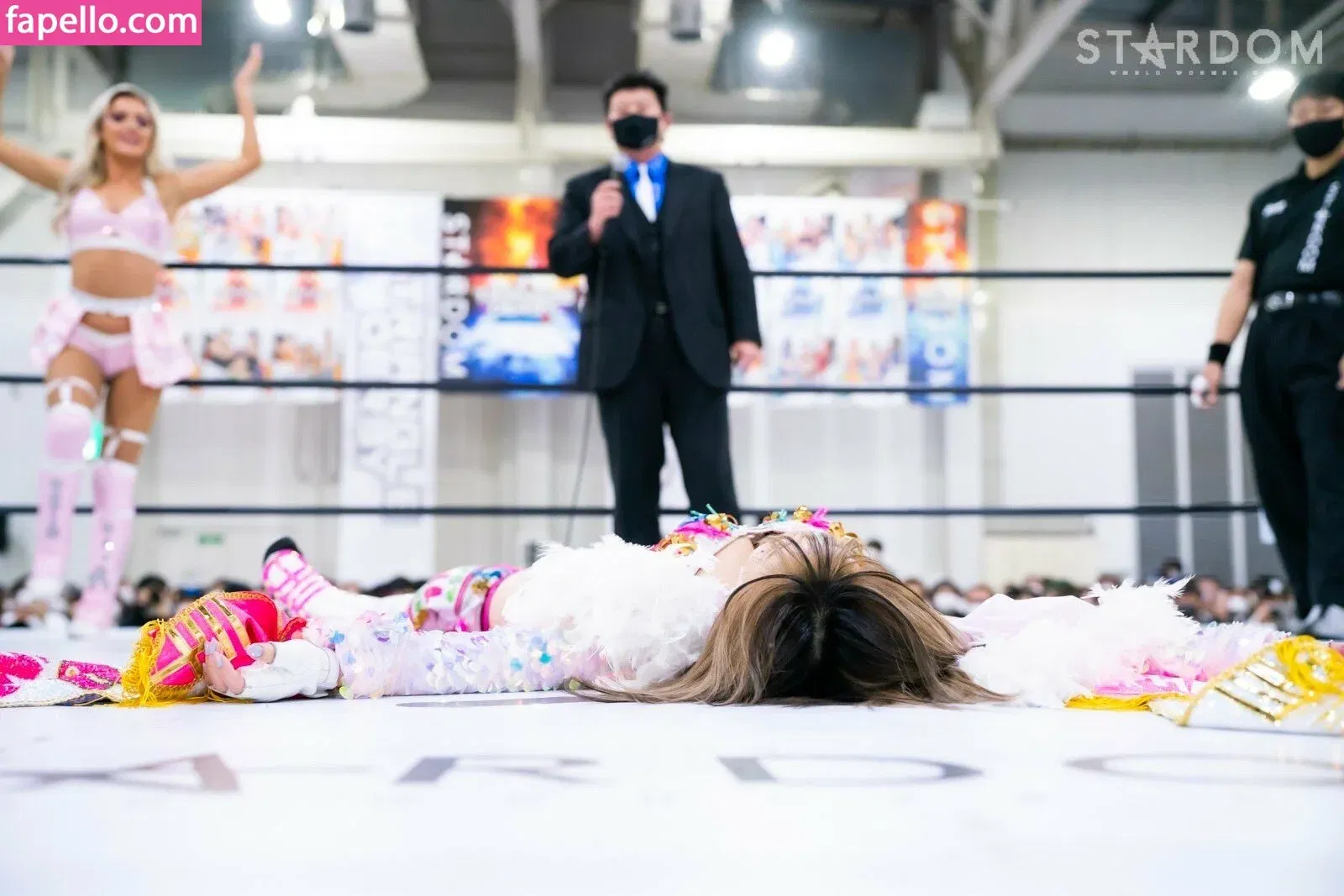 Mina Shirakawa Onlyfans Photo Gallery 