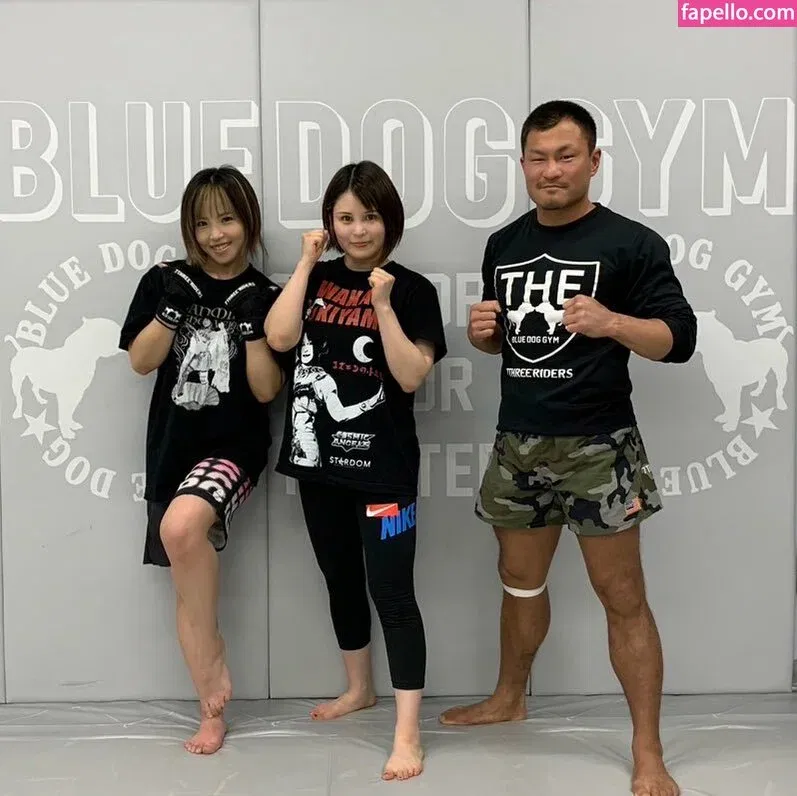 Mina Shirakawa Onlyfans Photo Gallery 