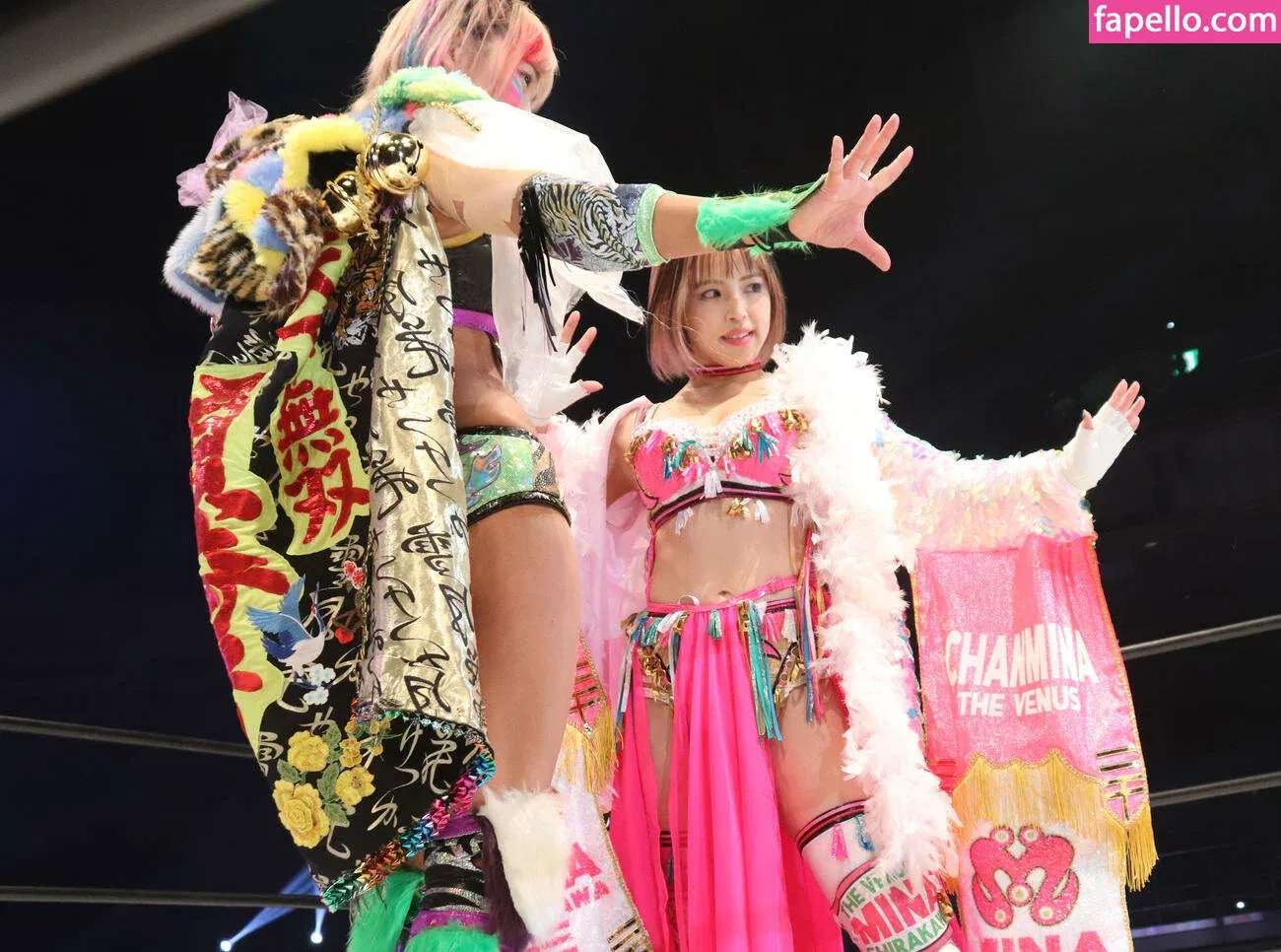 Mina Shirakawa Onlyfans Photo Gallery 