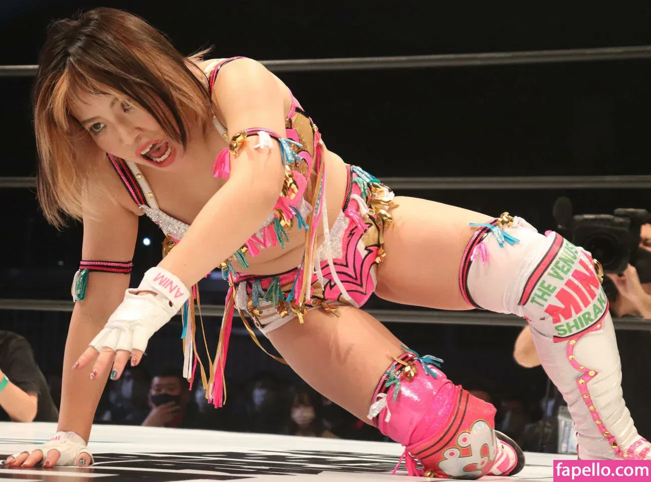 Mina Shirakawa Onlyfans Photo Gallery 