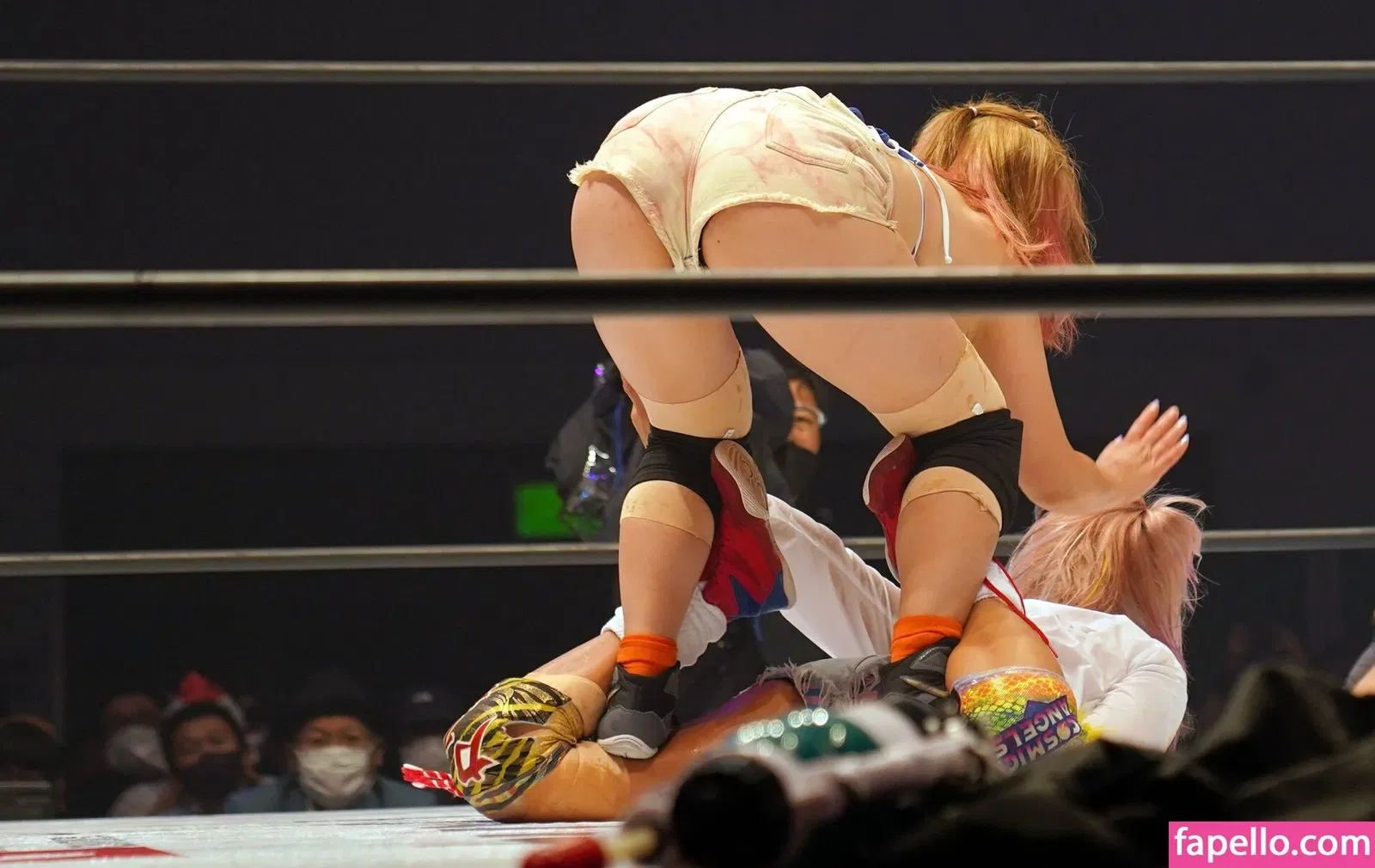 Mina Shirakawa Onlyfans Photo Gallery 