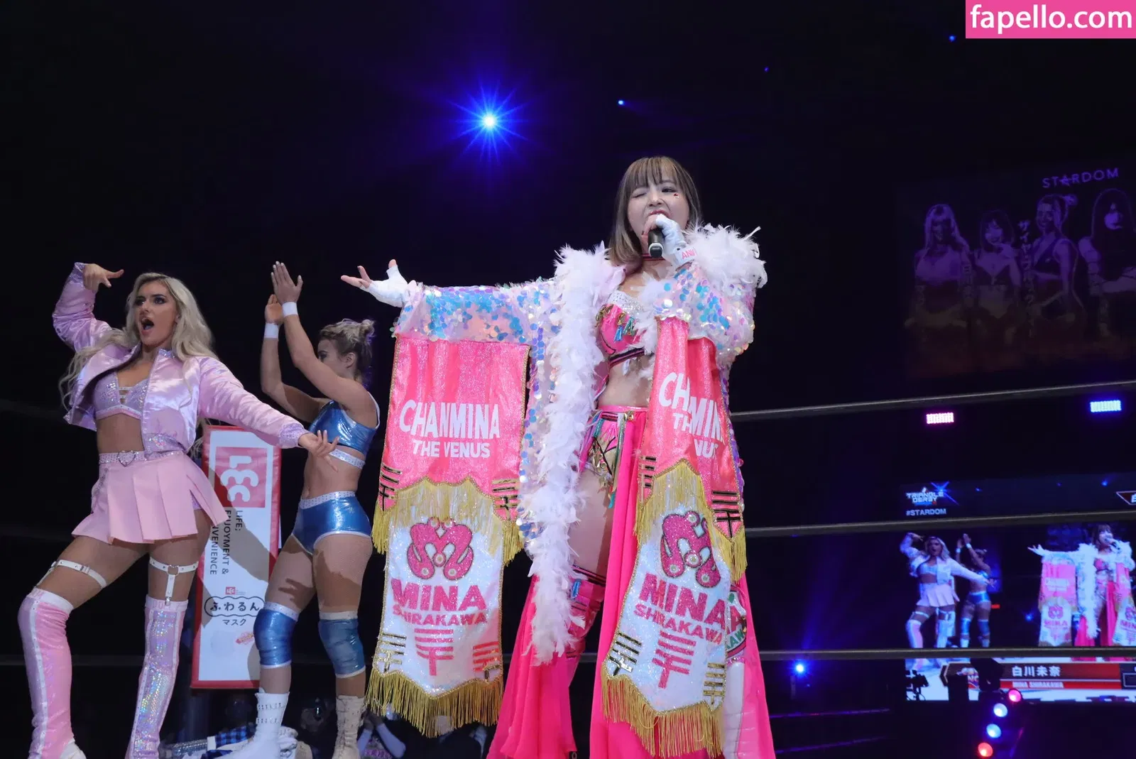 Mina Shirakawa Onlyfans Photo Gallery 