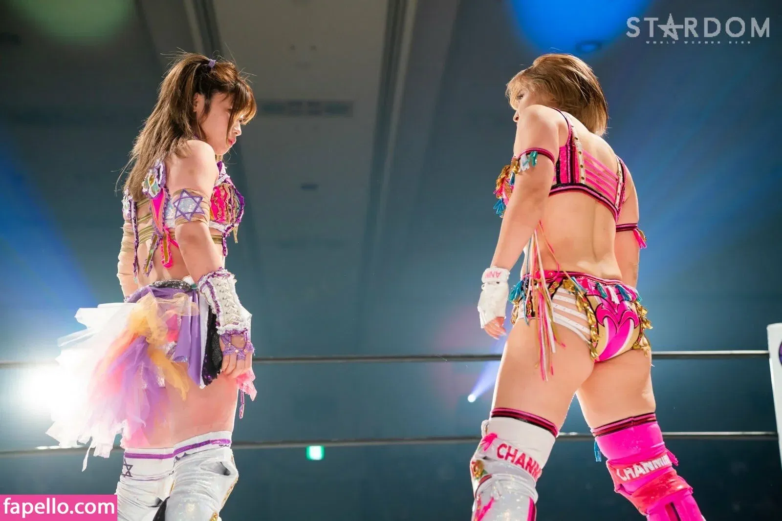 Mina Shirakawa Onlyfans Photo Gallery 