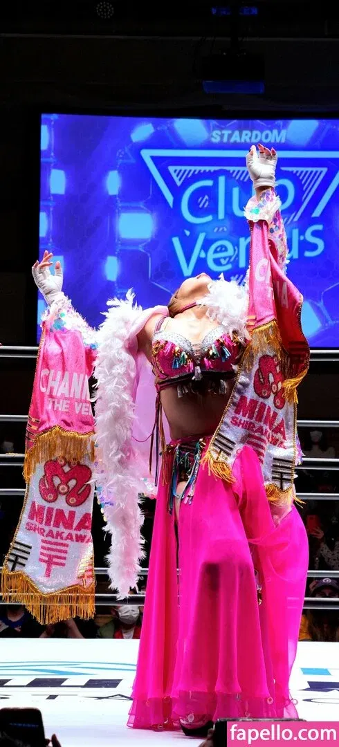 Mina Shirakawa Onlyfans Photo Gallery 