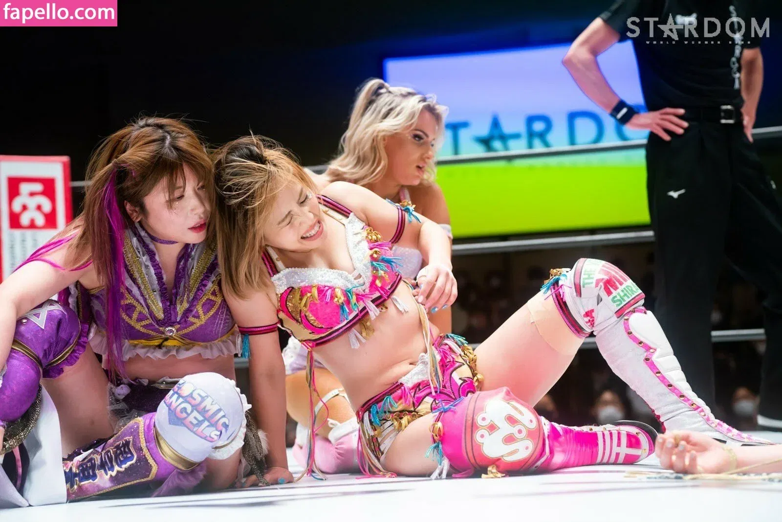 Mina Shirakawa Onlyfans Photo Gallery 