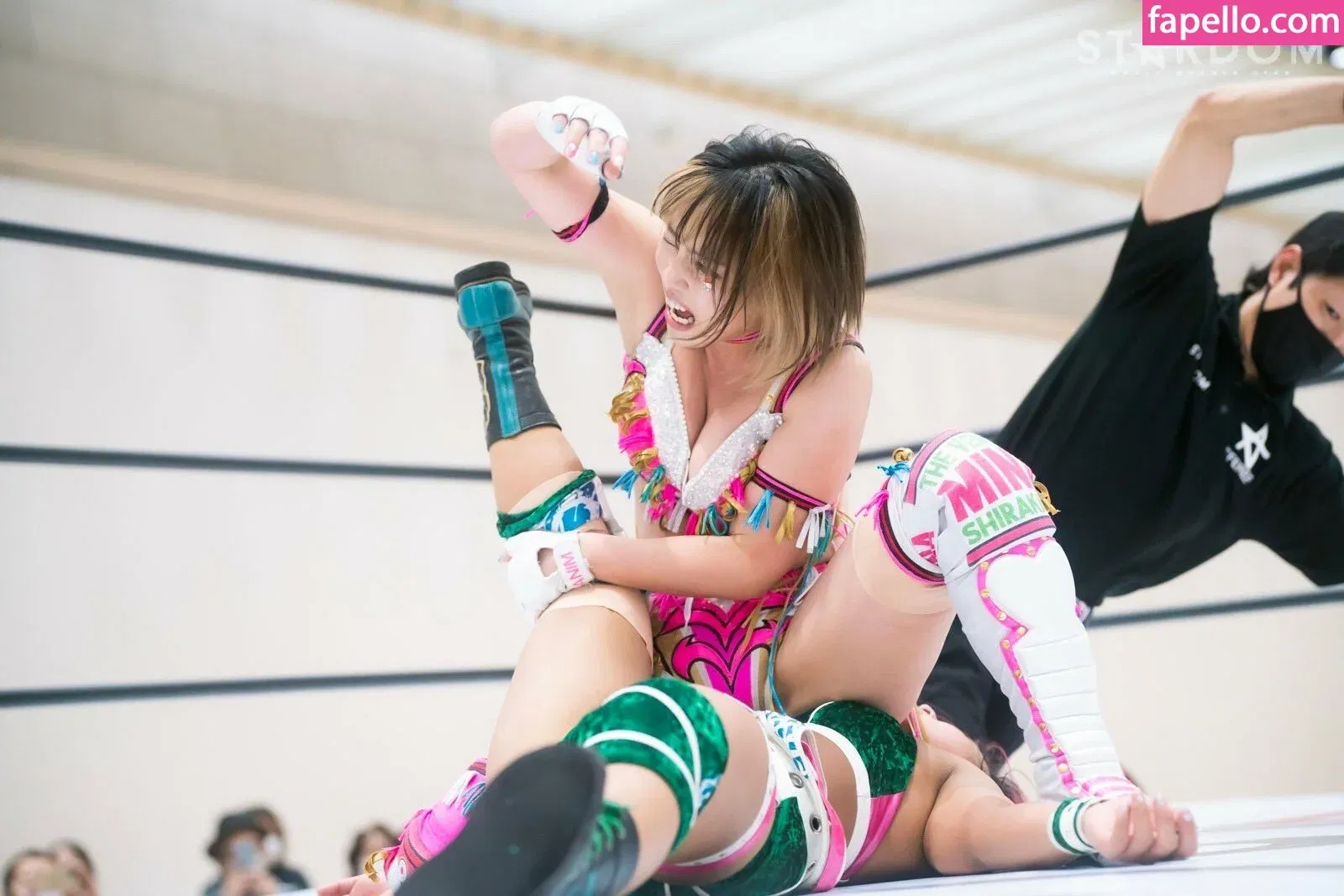 Mina Shirakawa Onlyfans Photo Gallery 