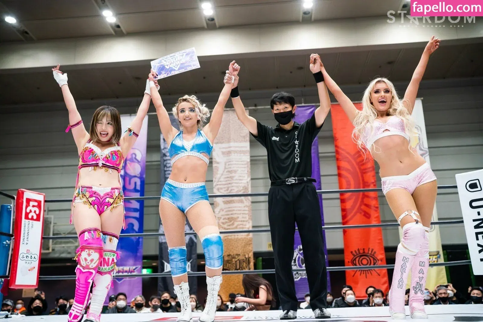 Mina Shirakawa Onlyfans Photo Gallery 