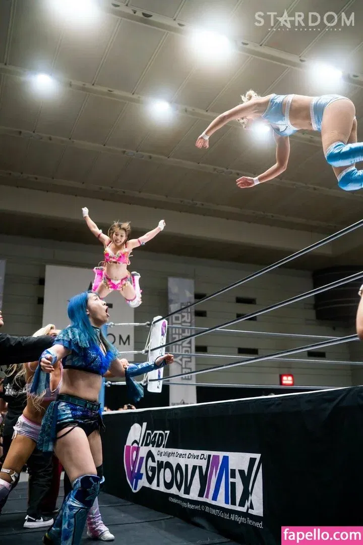 Mina Shirakawa Onlyfans Photo Gallery 