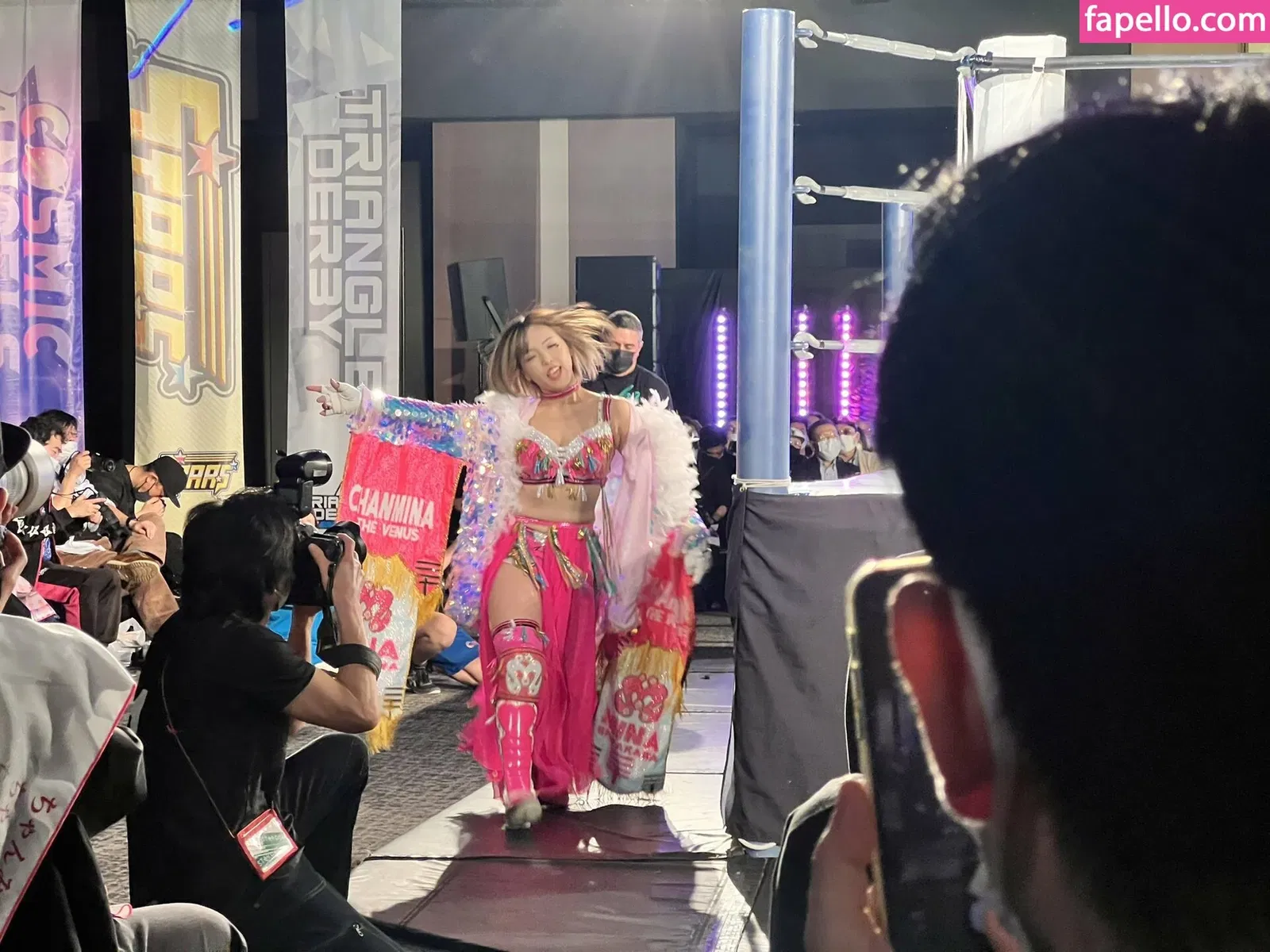 Mina Shirakawa Onlyfans Photo Gallery 