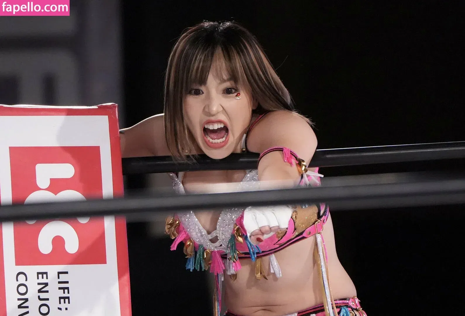 Mina Shirakawa Onlyfans Photo Gallery 